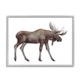 thumbnail image 5 of Stupell Industries Big Antler Moose Watercolor Painting Kids' Wild Animal Gray Framed Art Print Wall Art, 30x24, by Fox Hollow Studios, 5 of 5