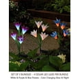 thumbnail image 4 of 2 Bundle 8 Lily Led Outdoor Solar Flower Garden Stake Multi-color Changing Lights - Multicolor Solar Lights Outdoor Decorative Stakes -solar Garden St, 4 of 5