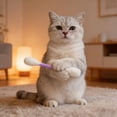 thumbnail image 4 of Cat with 6 Pk Chew Sticks for Indoor Boredom Teething Ropes Big Interactive Kitty Play Lover, 4 of 8