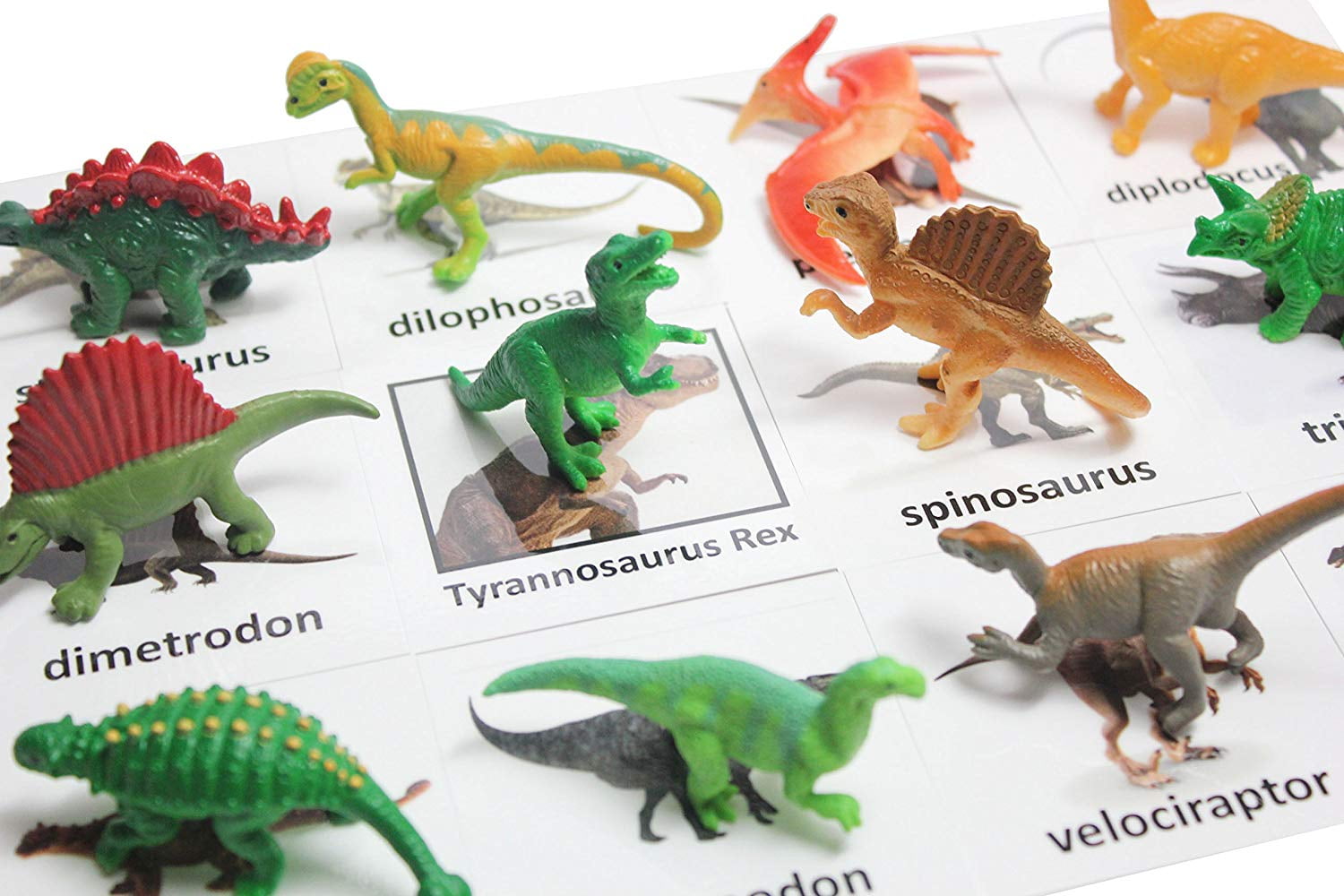 Language Materials Montessori Dinosaur Figure Animal Match Montessori Learning Toy 2 Part Cards Miniature Dino Figurines with Matching Cards 