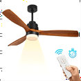 ALUOCYI 52inch Ceiling Fan with Light and Remote Control, Outdoor