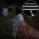 thumbnail image 5 of Collar para perro TagMe de nailon reflectante ajustable clásico, 5 of 7