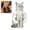 White, variant on Cat Muscle Arms, Hilarious 3D Printed Costume, Comfy Pet Shoulder Attachment for Feline Cosplay, Lightweight PLA Toy(Large,Green)