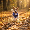 thumbnail image 5 of AuroraX Halloween Dog Bandana Scarf Halloween Cat Dog Kerchief Triangular Lightweight Adjustable Soft Pet Costume Accessories Blue National Dog Day International Cat Day, 5 of 6