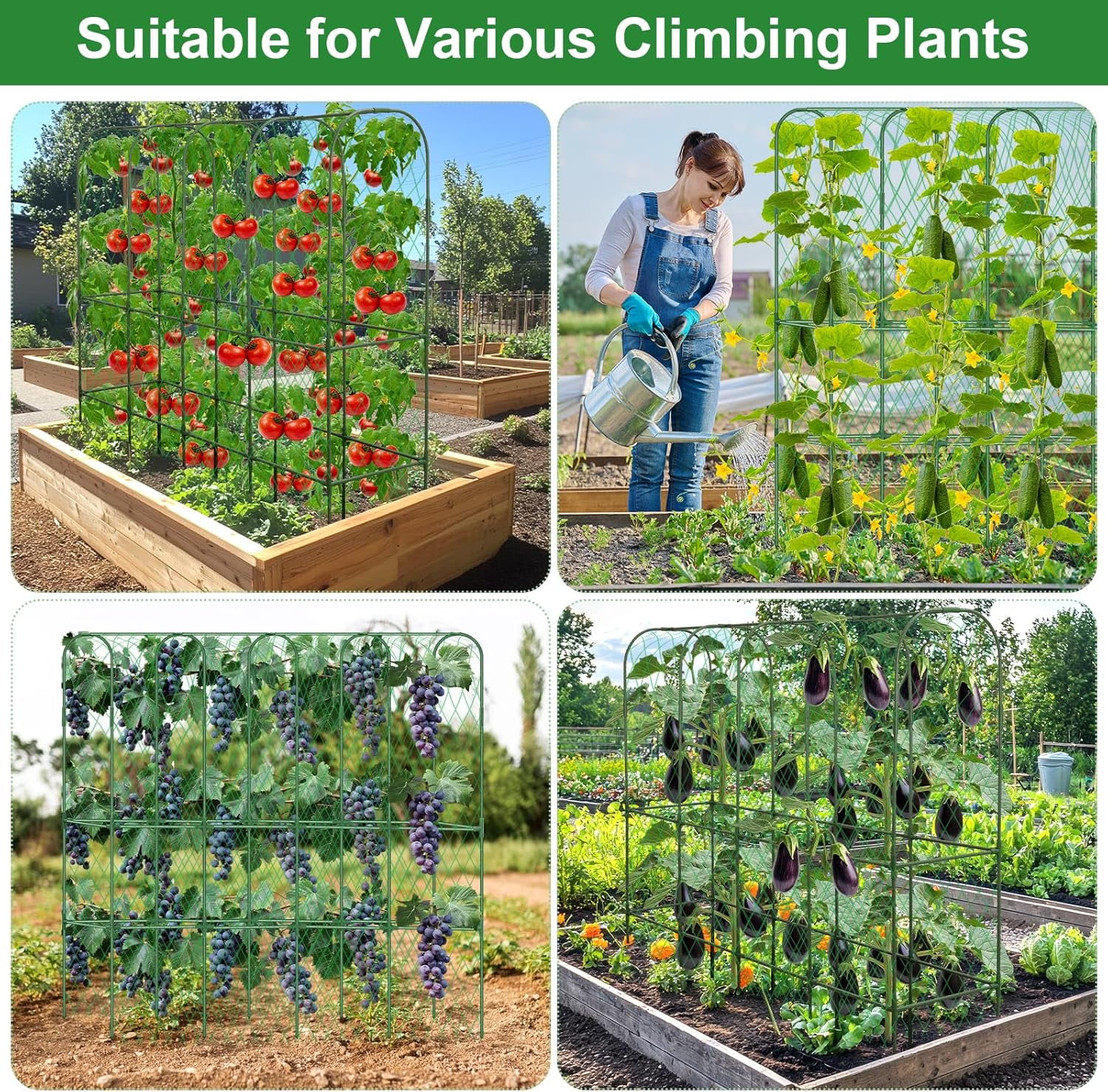 Cucumber Trellis for Raised Bed 5.4x5.5ft U-Shape Adjust Metal Garden Trellis for Climbing Plants Outdoor with Climbing Net Vegetable Arch Trellises Support Plant for Pea Fruit Squash Trellises
