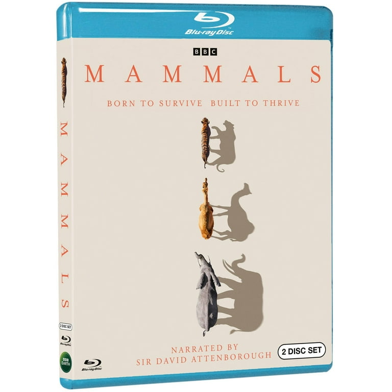 洋画・外国映画 DVD BBC THE LIFE OF MAMMALS Amazon.com: The Life of Mammals [Region 2] : Movies & TV