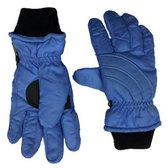 Windshield Womens Powder Blue Duradry Ski & Snow Gloves Large