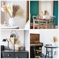 thumbnail image 5 of Pakyozj Dried Pampas Grass Decor, 128PCS Pampas Grass with Bunny Tails Dried Flowers, Reed Grass Bouquet for Wedding, Boho Flowers, Home Table Decor, Rustic Farmhouse Party, 5 of 5
