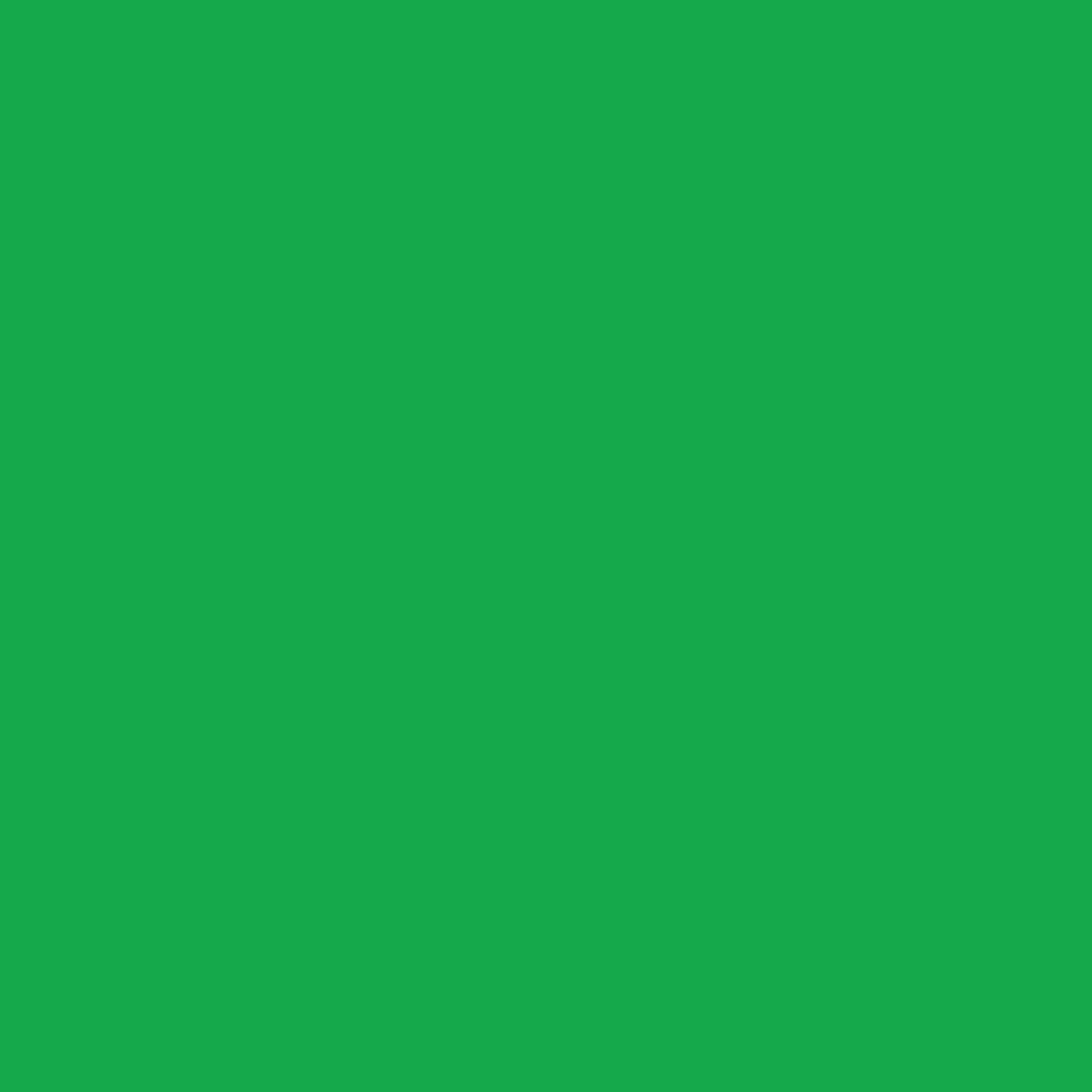 Cricut® Infusible Ink™ Sheets Solid (2), Bright Green, 12" x 12"