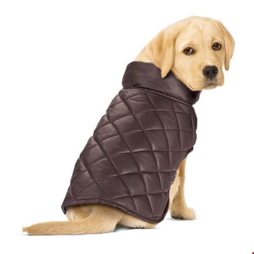 flannel dog jacket