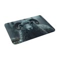 thumbnail image 2 of Balery Moody Ram Portrait Doormat, Durable Flannel Fabric, Waterproof Stain and Fade Resistant, Low Profile,Indoor Outdoor Door Mats, Easy Clean Patio Entrance Mat, 16x24in, 2 of 9