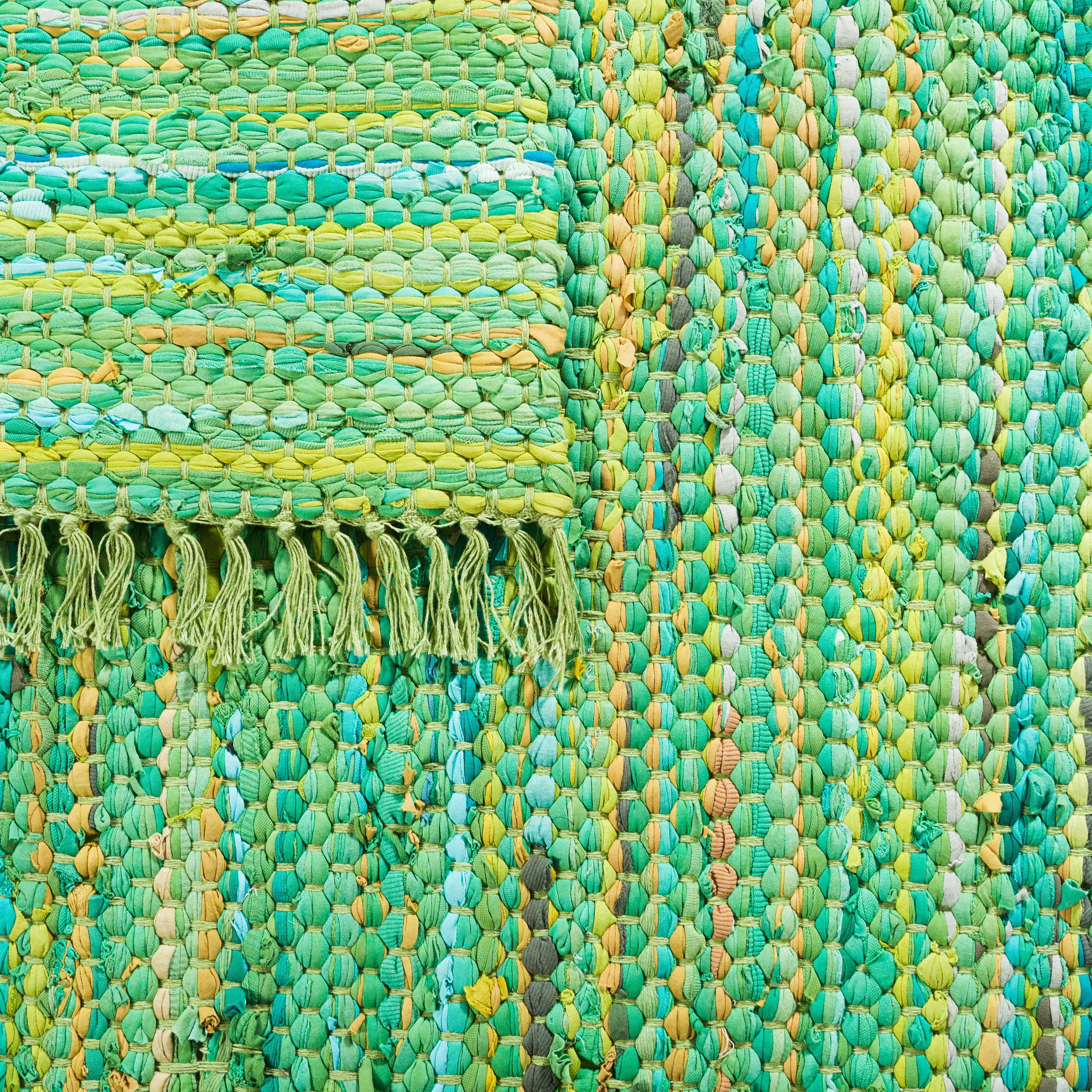 SAFAVIEH Montauk Renae Distressed Area Rug, Green, 9' x 12'