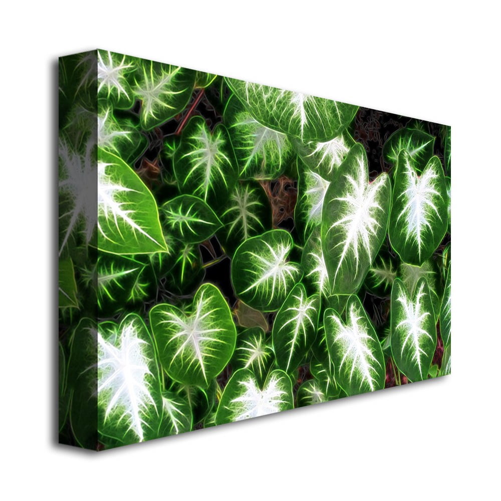 Trademark Art "Hearts & Light" Canvas Wall Art by Kathie McCurdy