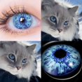 thumbnail image 1 of AMARA-lentes de contacto para ojos de gato, lentes de contacto de Color azul, maquillaje anual, belleza de Halloween, lentillas amarillas, 1 of 4