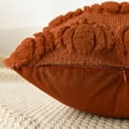 thumbnail image 6 of Sm:)e Pumpkin Plush Faux Fur Jacquard Fall Throw Pillow Cover 20x20 Inch, Set of 2, Silky Soft Seasonal Cushion Case for Sofa Couch Caramel, 6 of 7