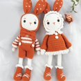 thumbnail image 3 of Crochet Kit for Beginner Cute Starter Arts Craft Set Kit Handmade Rabbits Includes Yarn, Hook, Accessories Orange, 3 of 9