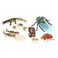 thumbnail image 2 of Ciclo de modelo niño Baoblaze 9 piezas Juguete de enseñanza temprana Juego de crecimiento de insectos para niños, 2 of 8
