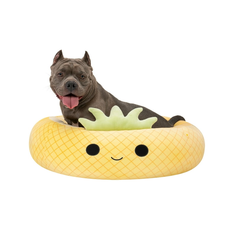 Pineapple bed for best sale dogs