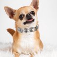 thumbnail image 4 of Pet Traction Collar Beads Decoration Prevent Break Free Adjustable Outdoor Dog Safety Head Collar Pet Supplies, 4 of 8