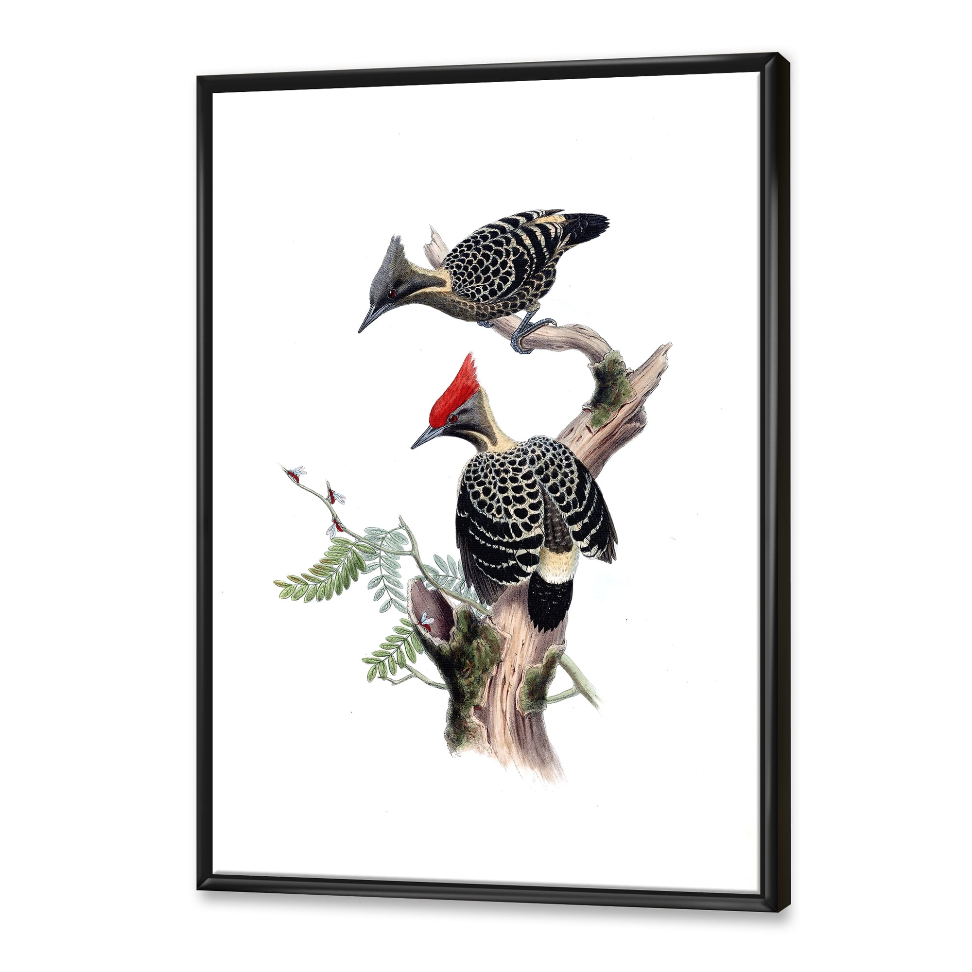 Designart 'Ancient Birds In The Wild VI' Traditional Framed Canvas Wall Art Print