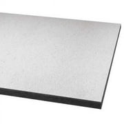Armstrong Ceiling Tile,48 in L,24 in W,PK6 605C