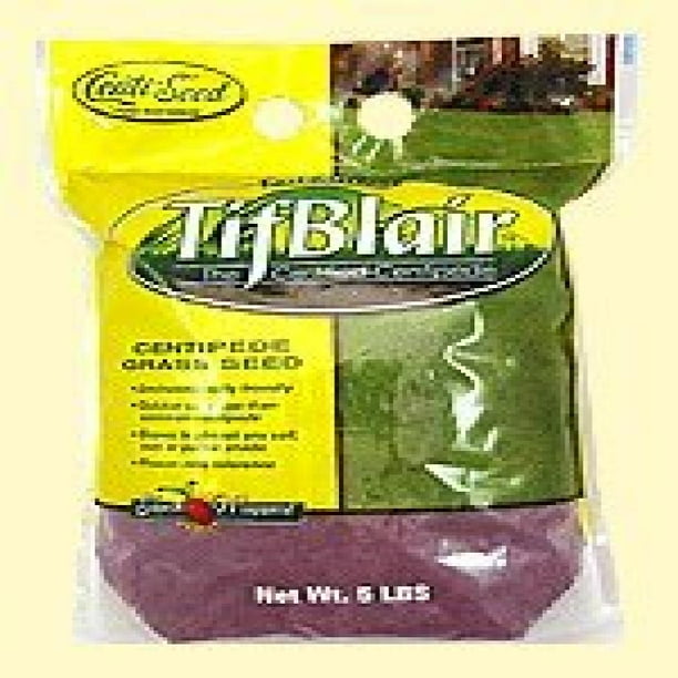 Tifblair Centipede Grass Certified Seeds 5 Lbs.