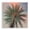 Palm Sunset Serenity, variant on Stupell Industries Quiet Escape Pink Palms Black Framed Print Under Glass design by Natalie Carpentieri, 13 x 13