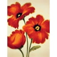 thumbnail image 2 of Benson, Paula 19x24 White Modern Wood Framed Museum Art Print Titled - Orange Poppies, 2 of 4