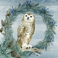 thumbnail image 2 of Allen, Kimberly 26x26 White Modern Wood Framed Museum Art Print Titled - Winter Owl Blues 3, 2 of 4