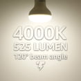 thumbnail image 3 of 8 Pack 7.5W LED Lights BR20 R20 Dimmable LED Light Bulbs, Flood Light Bulb Indoor, 4000K Cool White, 3 of 7