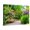 Canvas, variant on Art.com USA, Washington State. Bellevue and the Bellevue Botanical Gardens springtime blooming Rhododendron Stretched Canvas Print Wall Art by Sylvia Gulin, 16" x 12"