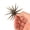 Green Pumpkin, variant on Berkley PowerBait® MaxScent 'Moeba, 3.5 in, Creatures, Mimizu (1-count)