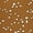Brown, variant on Women's Contrast Doll Collar Short Sleeves Polka Dots Tops Blouses M Light Purple