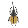 thumbnail image 2 of Juguete de modelo de animal para , material didáctico de ciencia escolar Hugo  Juguete realista de insectos naturales, 2 of 10