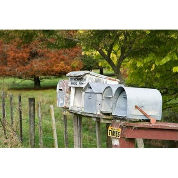 Posterazzi PDDAU02DWA2799 Letterboxes King Country North Island New Zealand Poster Print by David Wall - 34 x 23 in.