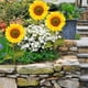 thumbnail image 4 of Girasol acrílico para jardín exterior, inserto para jardín, tarjeta decorativa para jardín, 4 of 8