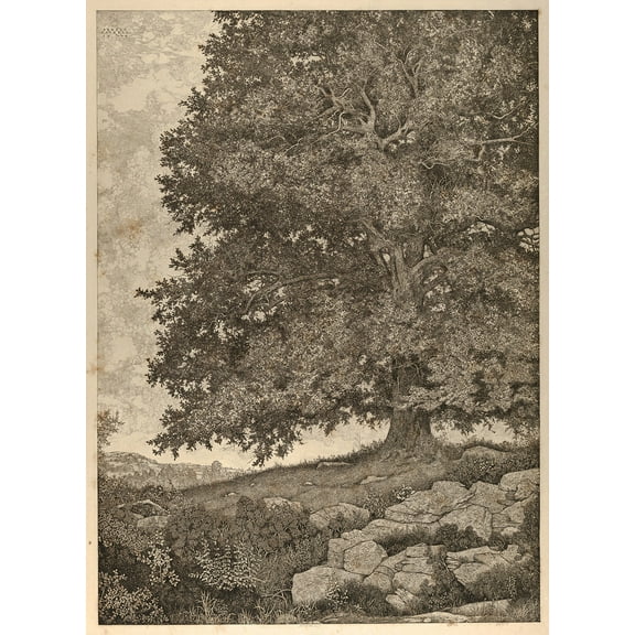 The Monarch by Ernest Haskell - 12" x 18" Art Print Wall Decor