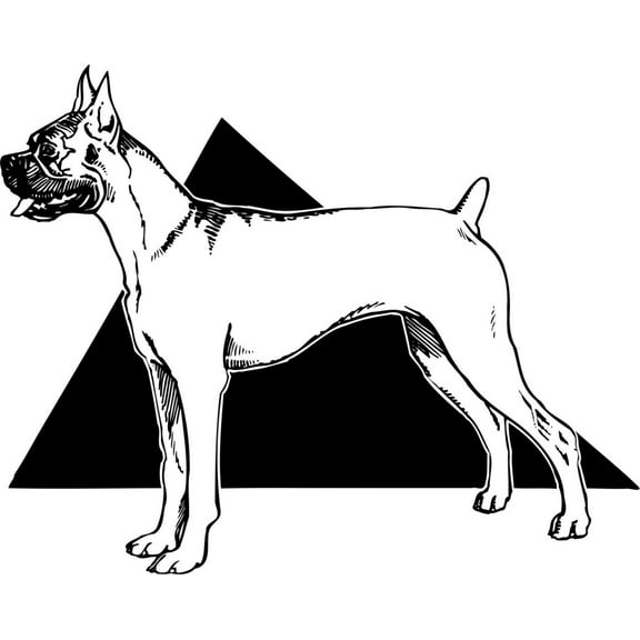 Do It Yourself Wall Decal Sticker Dog Animal – Kids Boys Bedroom 16 X24"