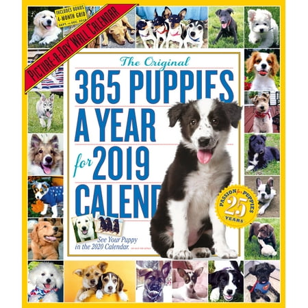 Puppies Wall Calendar - 365 Puppies-A-Year Picture-A-Day Wall Calendar 2019 (Other)
