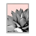 thumbnail image 3 of Stupell Industries Modern Succulent Photography Black White Plant over Pink, 24 x 30, Design by Kali Wilson, 3 of 5
