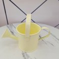 thumbnail image 2 of stanreset Arrosoir Extérieur en Métal pour Enfants Mini Bouteille d'Arrosage avec Poignée Mini Jardin, 2 of 4