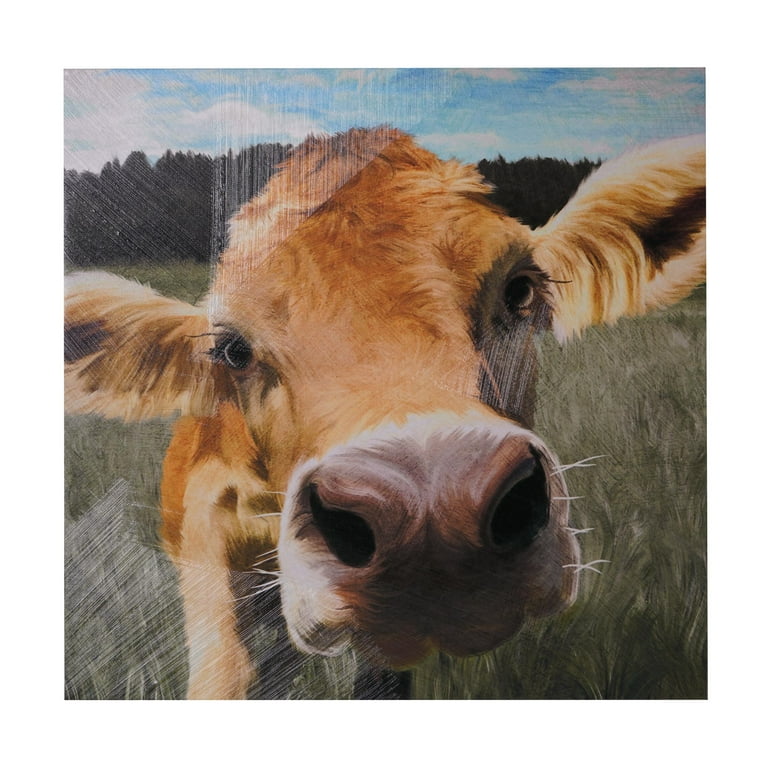 Crystal Art Gallery Inquisitive Cow Canvas Art Print 20