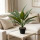 thumbnail image 5 of Plantas artificiales en maceta | Vegetación artificial para la decoración del hogar | Follaje realista de PVC para sala de estar, oficina y dormitorio, 5 of 6
