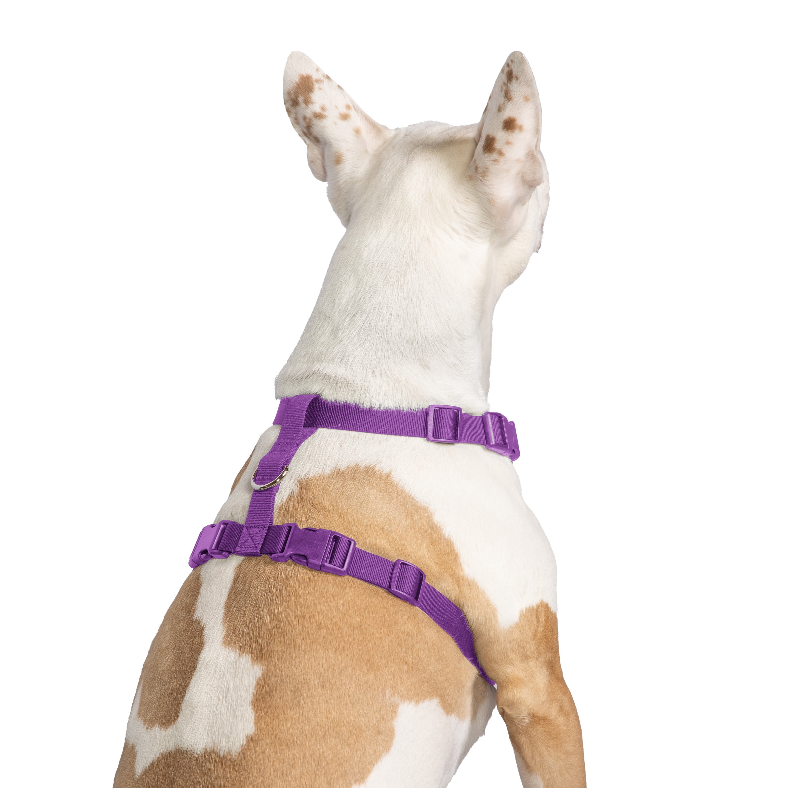 Vibrant Life Polyester Mesh Adjustable and Reflective Dog Walking Harness, Purple, L