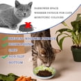 thumbnail image 2 of Non-Slip Bottom  Ceramic Cat  Bowls,Whisker Friendly Cat Bowl for Indoor Cats,  6 Pic Cerami Cat Dishes, Gift Choice, 2 of 6