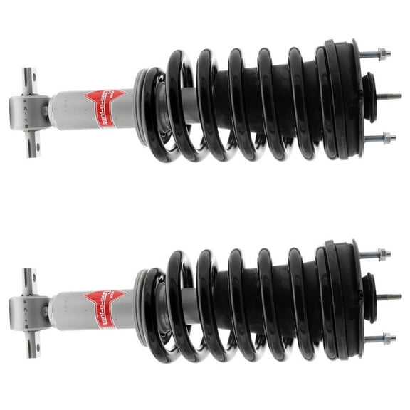 BuyAutoParts Shock and Strut Set 77-74974C8