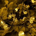 thumbnail image 3 of Cadena de luces, luces para exteriores con pilas, 16,2 pies 20 LED, 3 of 4