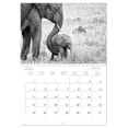 thumbnail image 5 of Africa black and white (Monthly Wall Calendar 2026 16.5 x 23.4 (open)), CALVENDO 14 Month Calendar, 5 of 9