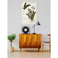 thumbnail image 2 of Orchid Field Notes I. Poster - Naomi McCavitt Designs,, 2 of 3