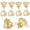 Champagne Crystal and Satin Brass Base, variant on Cabinet Knobs Matte Black 8 Pack Glass Cabinet Knobs Vintage, Crystal Drawer Knobs and Pulls, Dresser Knobs